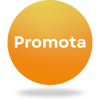 Promota Marketing Logo