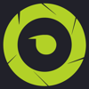 Octarnal Logo