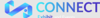 Connect Exhibit LLC Logo