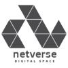 Netverse Logo