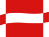 Nexus Flow Logo