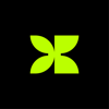 Digital Brew Logo