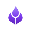 Agni Consulting Logo