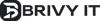 Brivy IT Logo