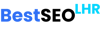 Best SEO Lahore Logo