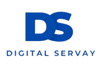Digital Servay Logo