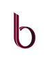 Bisidq Solutions Logo