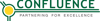 Confluence Center for Sustainable Development and Business Excellence Logo