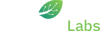 Codemintlabs Logo