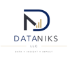 DataNiks LLC Logo