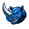 Blue Rhino Consulting Logo