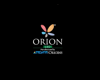 Orion LED Logo