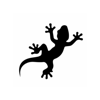 Salamandre Technologies Logo