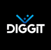 Diggit Software Solutions Logo