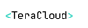 TeraCloud, Inc. Logo