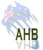 AHB SOFTWARE SERVICES Logo