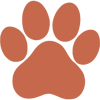 Paw Media Studio Logo