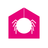 Jumping Spider Media Logo