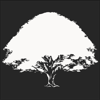 Deep Woods Security Logo