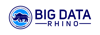 Big Data Rhino Logo