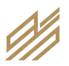 digital stratify llc Logo