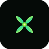 shaxx Logo