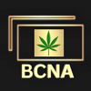 Best Copy Now Agency (BCNA) Logo
