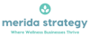 Merida Strategy Logo