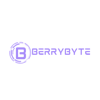 Berrybyte Innovations Logo