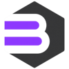 Bitscaled Logo