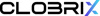 CLOBRIX TECHNLOGIES Logo