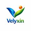 Velyxin Softwares Pvt Ltd Logo