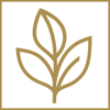 Vertera Financial Logo