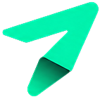 co-pilot Logo