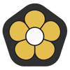Buttercup Digital Solutions Logo