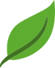 Leaf Software Development Logo