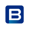 Binary Technosoft Logo