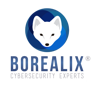 Borealix Logo