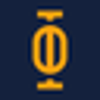 The Iconic Management Logo