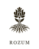 ROZUM Studio Logo