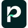 Paying.co Logo