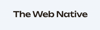 The Web Native Logo