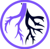 WildRoot Digital Logo