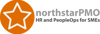 NorthstarPMO Logo