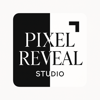 Pixel Reveal Logo