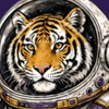 Space Tiger AI Systems Logo