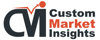 CMI Consulting LLC Logo