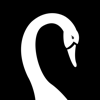 Swan Design Agency Logo