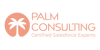 Palm Consulting Logo