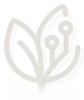 Ciqualia Logo